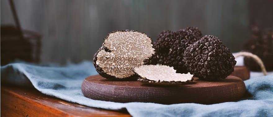 Black truffles mushrooms, Italy