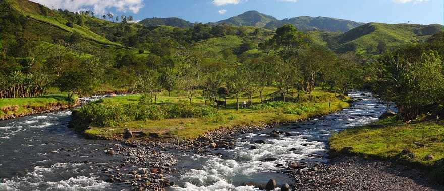 Epic landscapes evoke a sense of serenity, Monteverde Park, Costa Rica