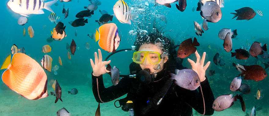 Scuba diving in Fiji Rainbow Reef, Corals and tropical fish