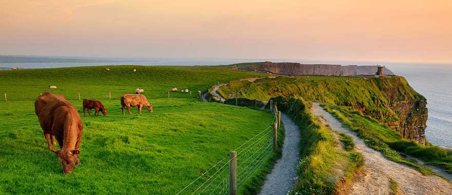 Cliffs of Moher in Ireland