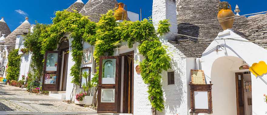 Beautiful town of Alberobello with trulli houses among green plants and flowers in the Apulia region of southern Italy. Beautiful town of Alberobello with trulli houses among green plants and flowers in the Apulia region of southern Italy.