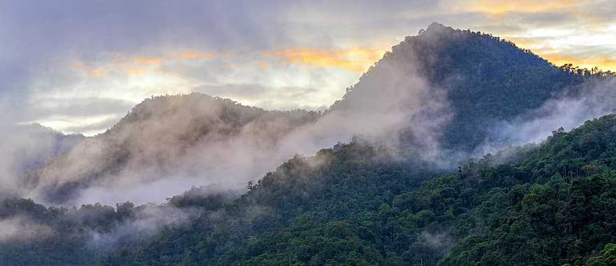 Chocó Cloud Forest, Ecuador