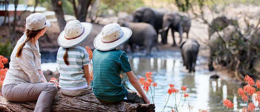 Mother and children sitting on a log watching elephants drinking from a watering hole in South Africa Game Reserve 