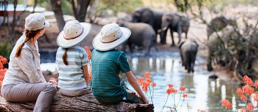 Game Reserve, South Africa Mother and children sitting on a log watching elephants drinking from a watering hole in South Africa Game Reserve