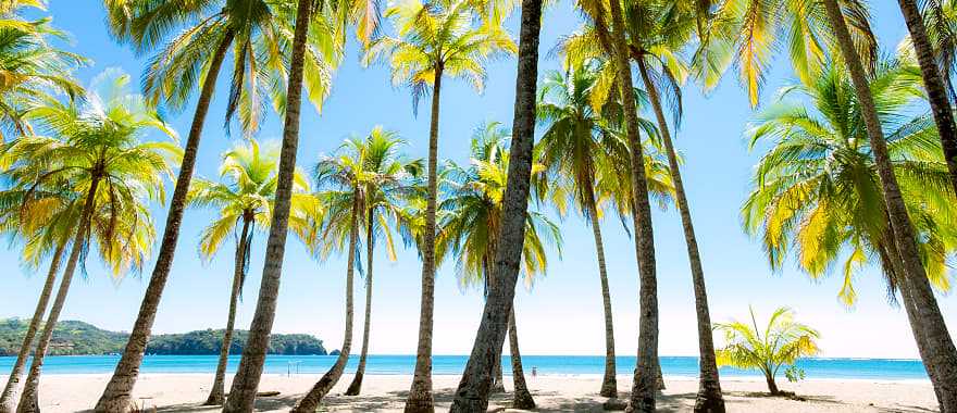 Costa Rica’s Caribbean Charms: 7-Day Family Tour