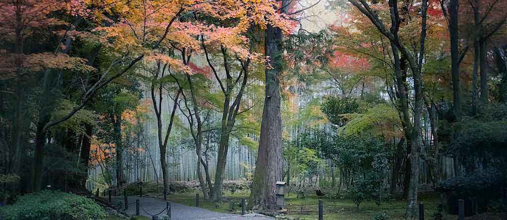 Fall foliage in Kyoto, Japan Fall foliage in Kyoto, Japan