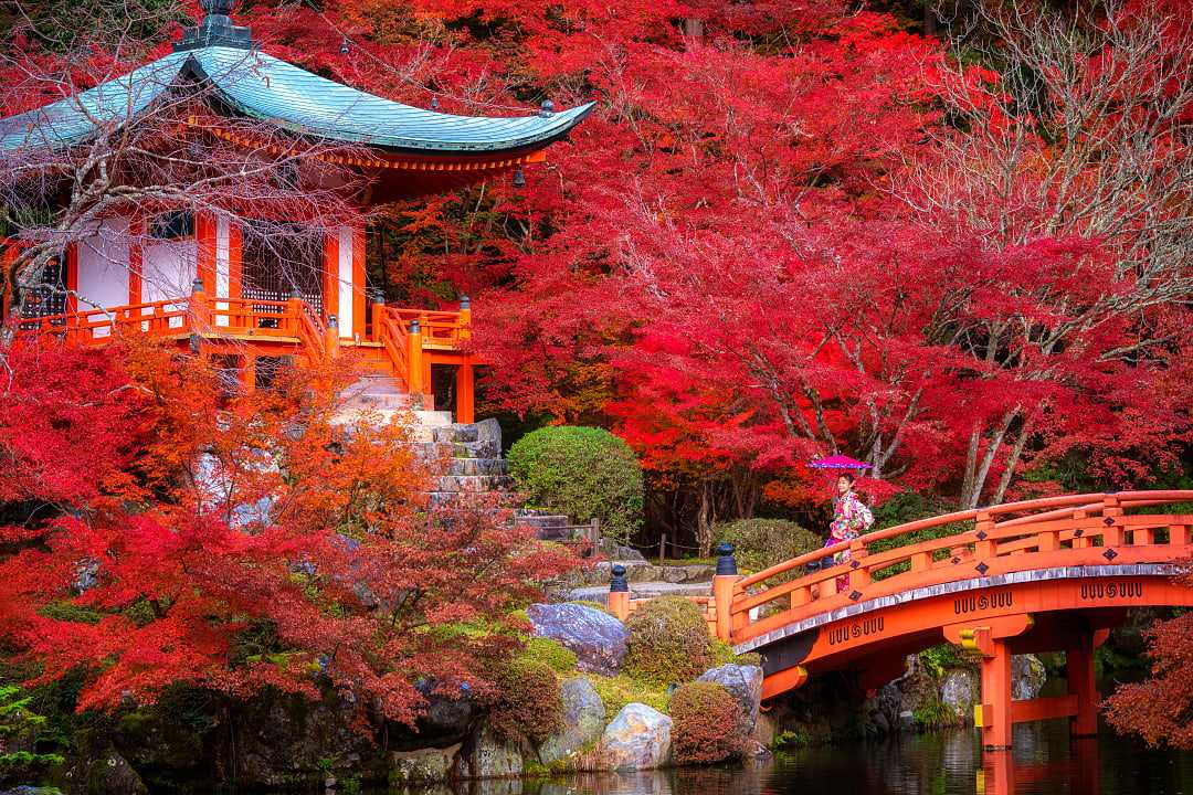 Daigo-ji Temple with autumn foliage in Kyoto, Japan