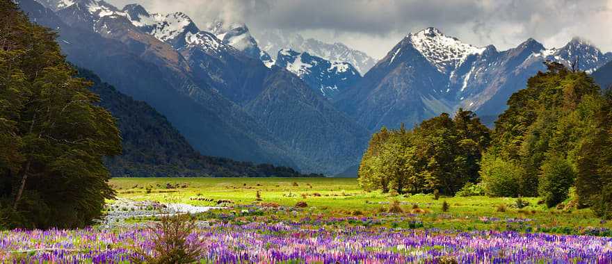 Beautiful landscape of the South Island, New Zealand