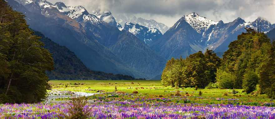 Beautiful landscape of the South Island, New Zealand Beautiful landscape of the South Island, New Zealand