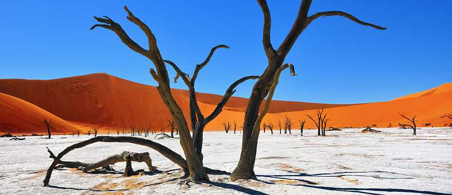 Deadvlei in Namib-Naukluft National Park of Namibia