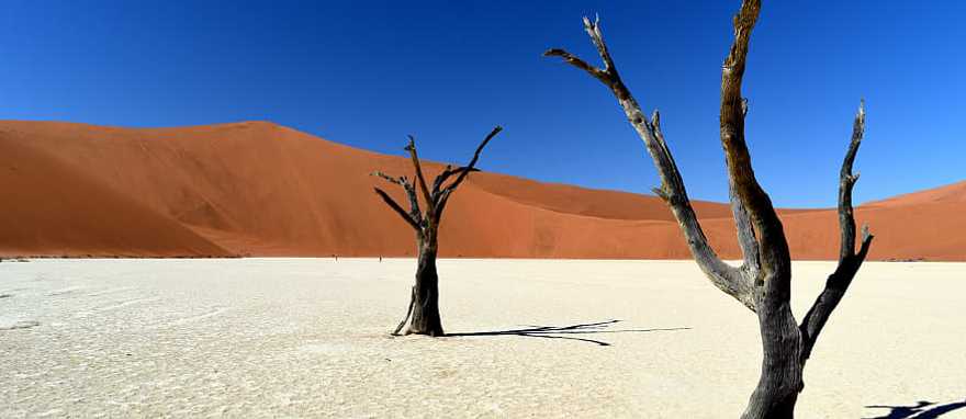 Namibia Dessert dunes Namibia Dessert dunes
