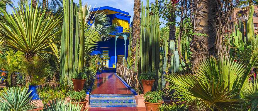 Le Jardin Majorelle, amazing tropical garden in Marrakech, Morocco.