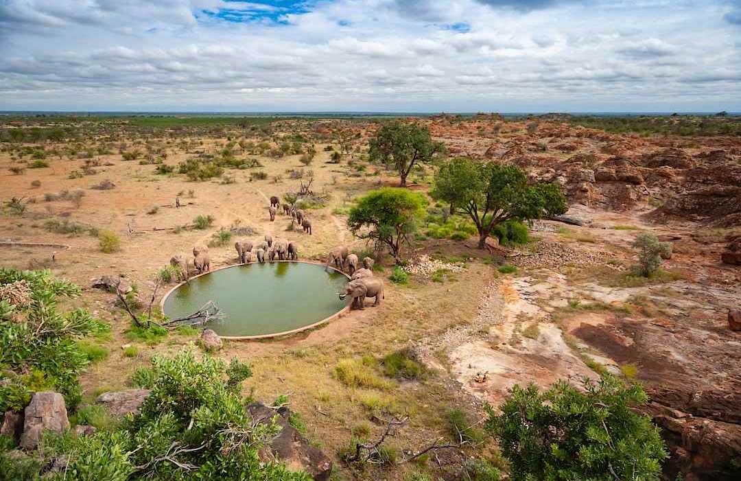 Mapungubwe National Park, South Africa.