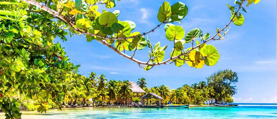 Tropical beach in Caye Caulker in Belize