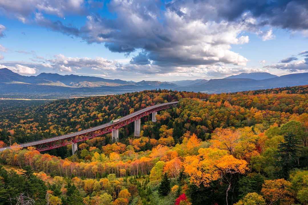 Fall foliage in Hokkaido, Japan