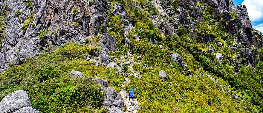 Hike in The Pinnacles in Coromandel, New Zealand
