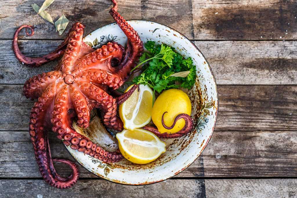 Big boiled octopus with lemon and parsley rustic style, Italy