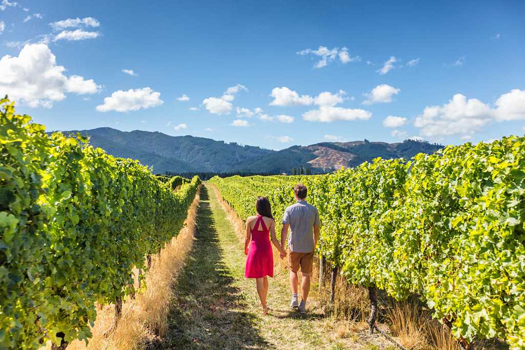 Couple exploring vineyards in New Zealand