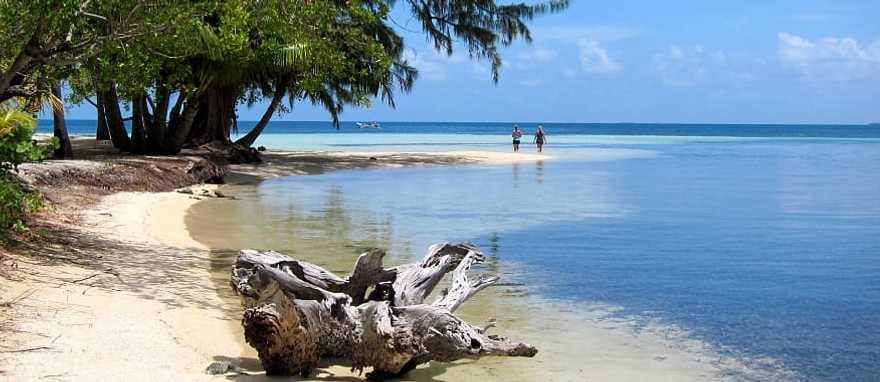 Beach on South Water Caye in Belize Beach on South Water Caye in Belize