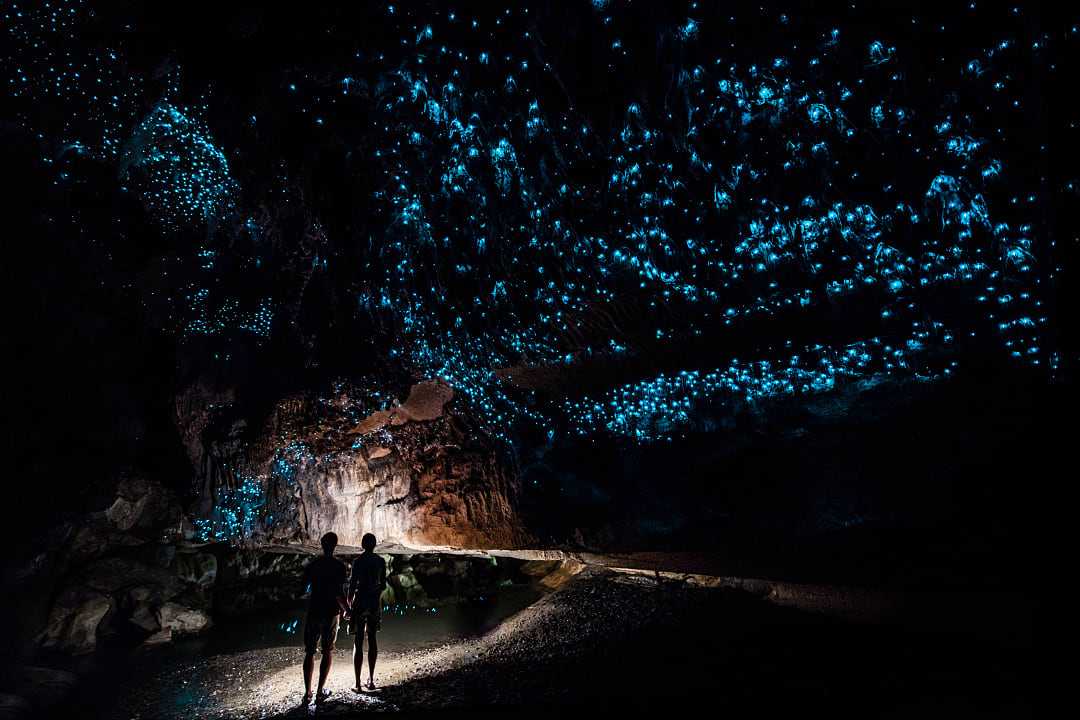 Couple inside the romantic glowworm cave in New Zealand