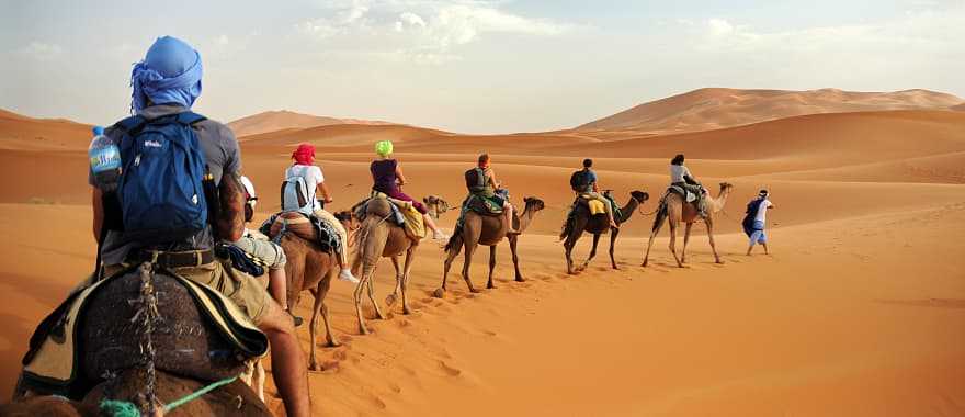 Camel caravan in the Sahara Desert, Morocco