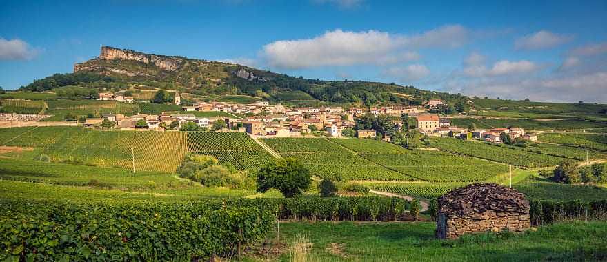 Solutré-Pouilly surrounded by vineyards with the Rock of Solutré in the background