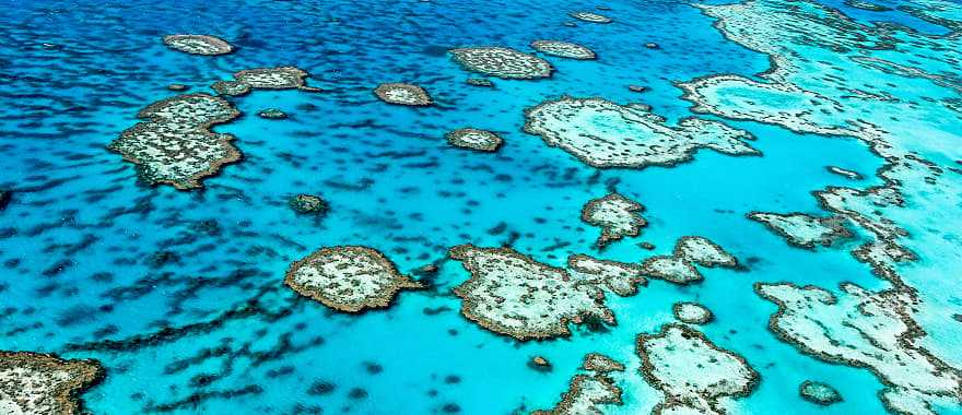 The Great Barrier Reef in Queensland, Australia
