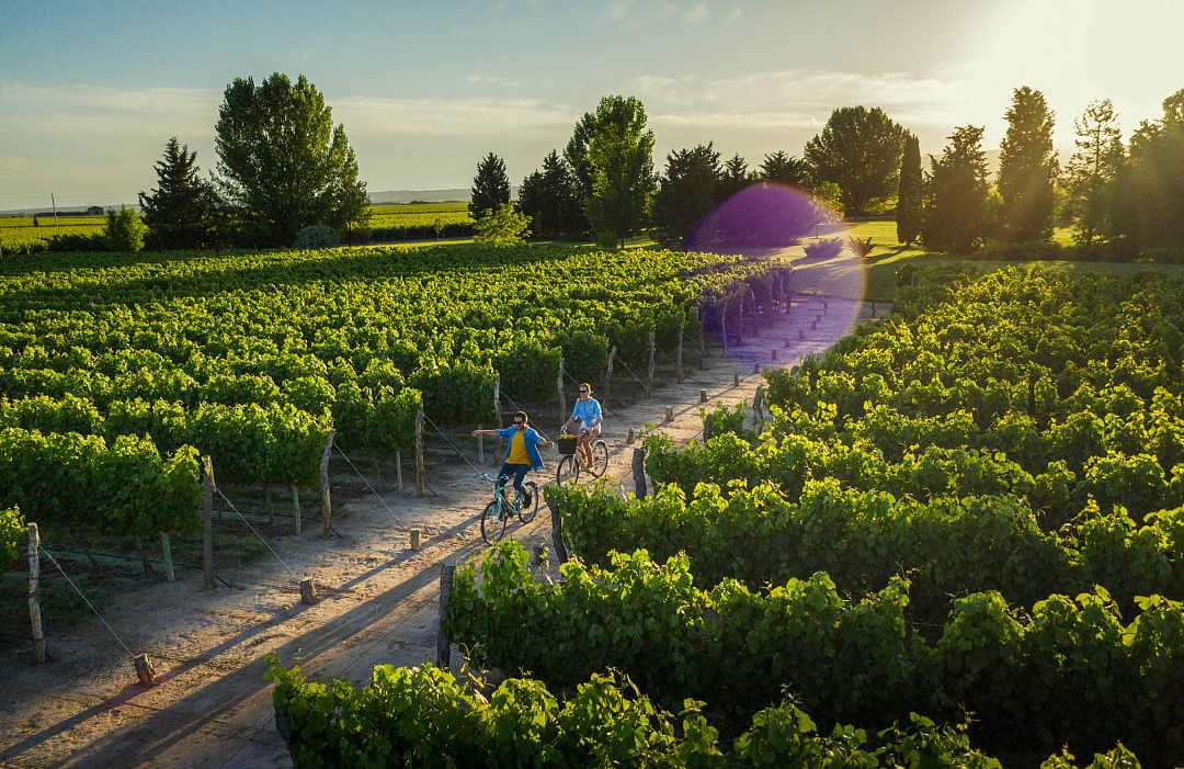 Vineyards in Mendoza, Argentina.  Photo courtesy Visit Argentina Couple cycling thought vineyards in Mendoza, Argentina