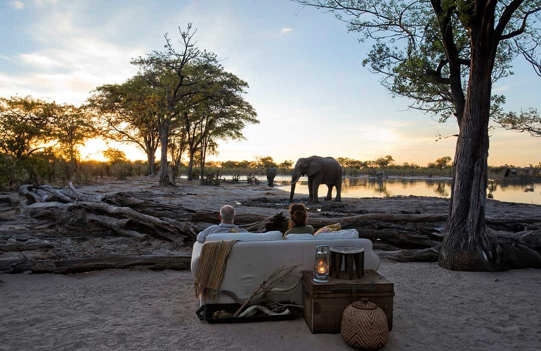 Okavango Delta, Botswana Couple observing an elephant at a luxury lodge in Botswana
