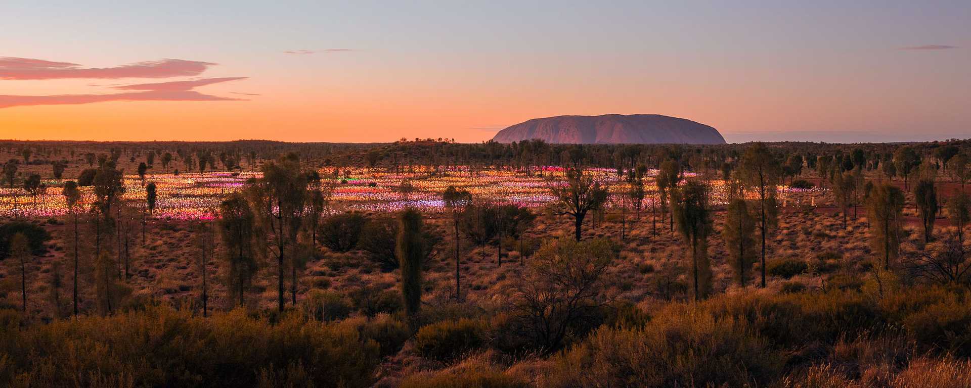 Uluru Field of Light in the Northern Territory, Australia
