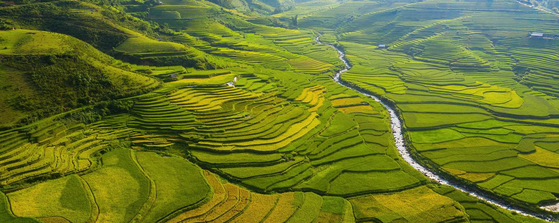 Rice terraces in the Yên Bái Province, Vietnam