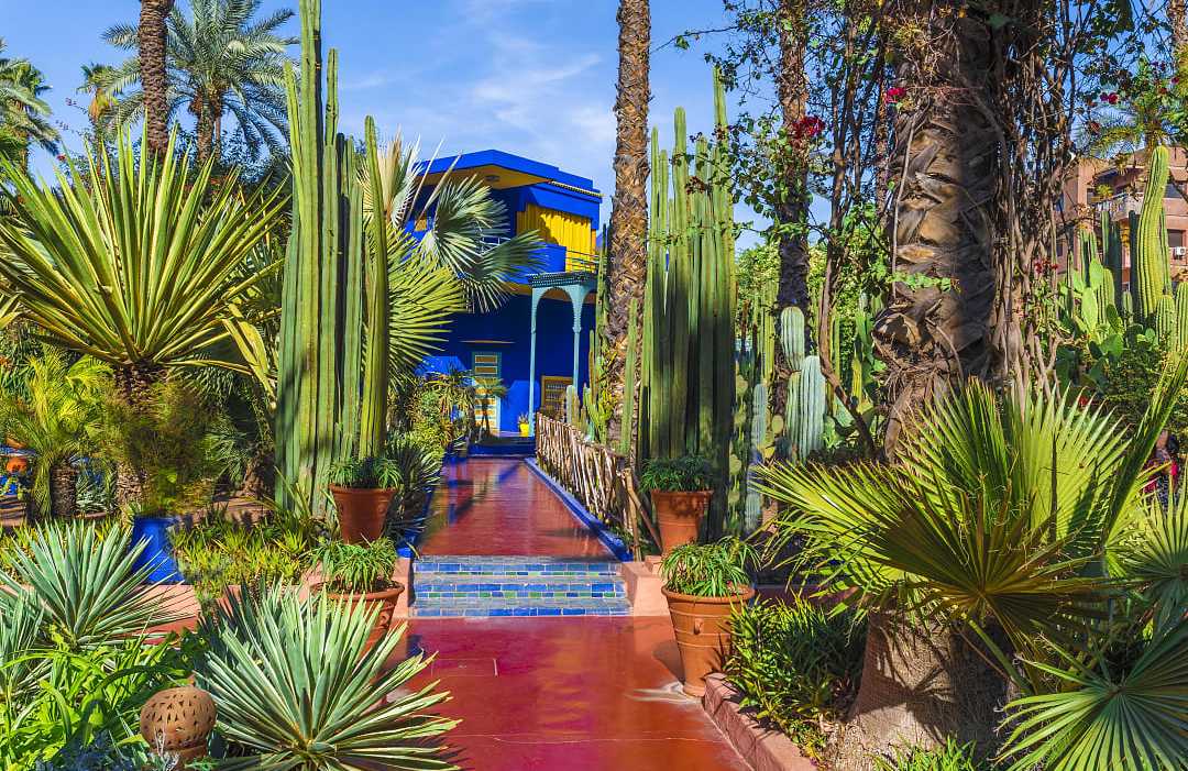 The Majorelle Garden in Marrakech, Morocco