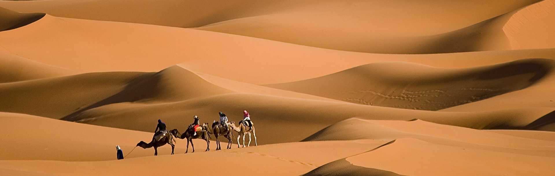 Camel riding in the Sahara Desert of Morocco.