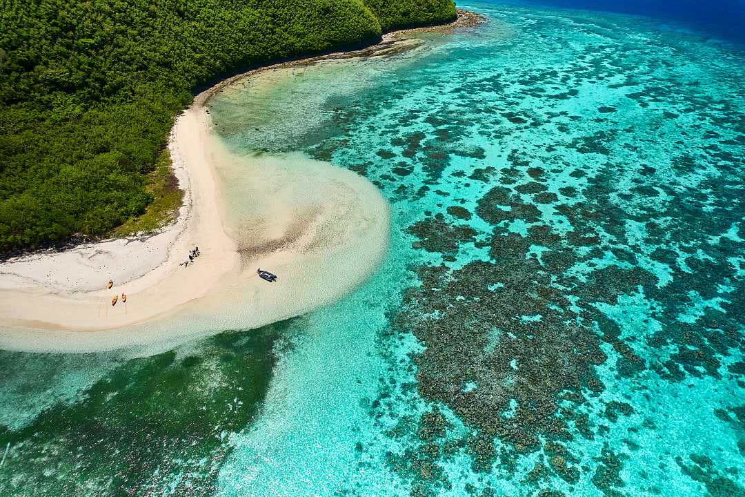 Coral Reef in Fiji. 