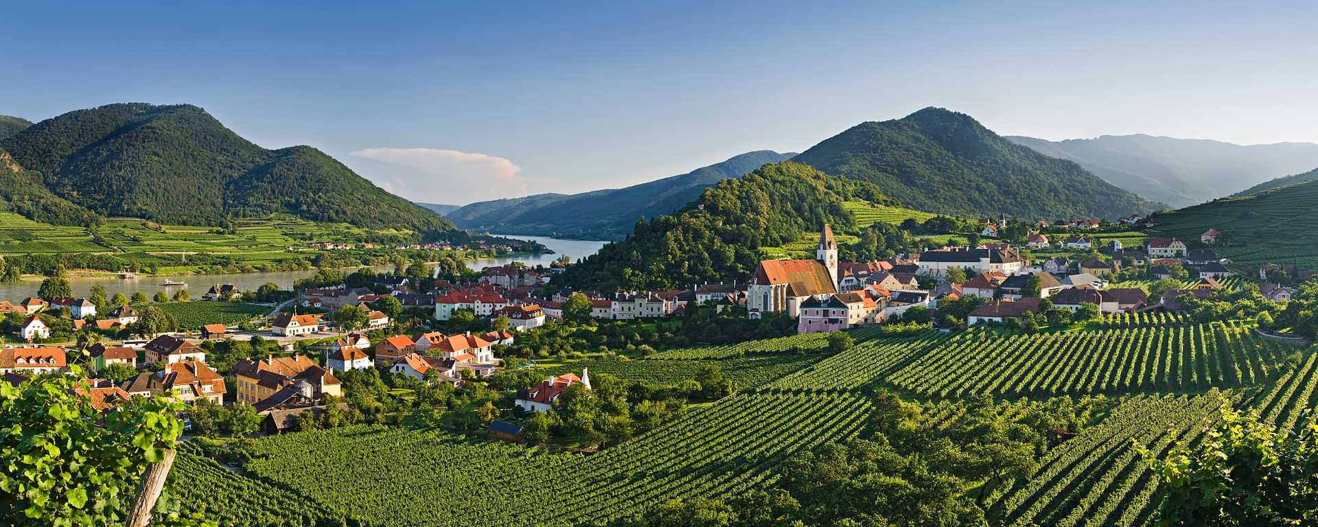Vineyards surrounding Spitz an der Danau on the Danube river in Austria
