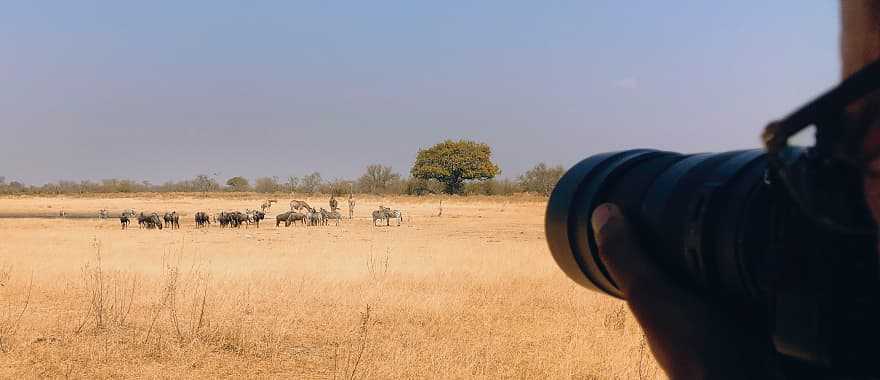 Photographer in Botswana