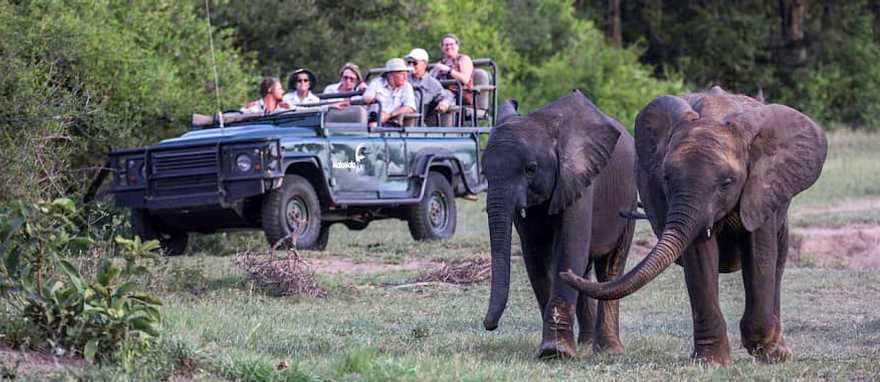 Photo courtesy of MalaMala Game Reserve Game drive in MalaMala Game Reserve. Photo courtesy of MalaMala Game Reserve