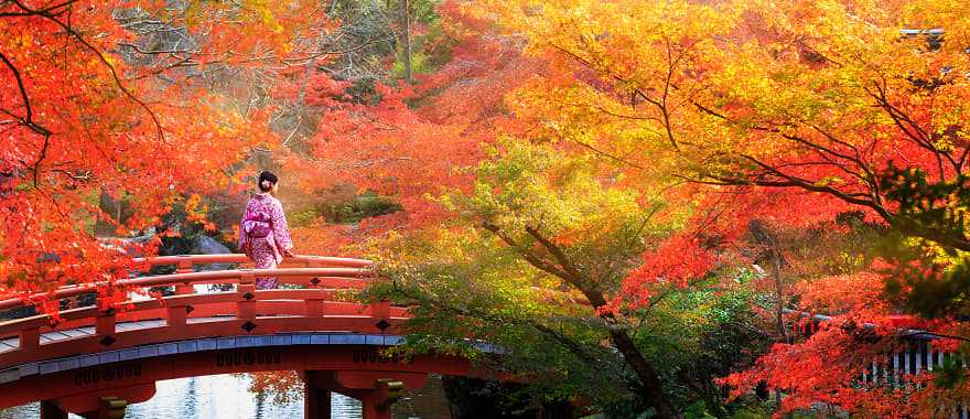 Kyoto, Japan during autumn. 