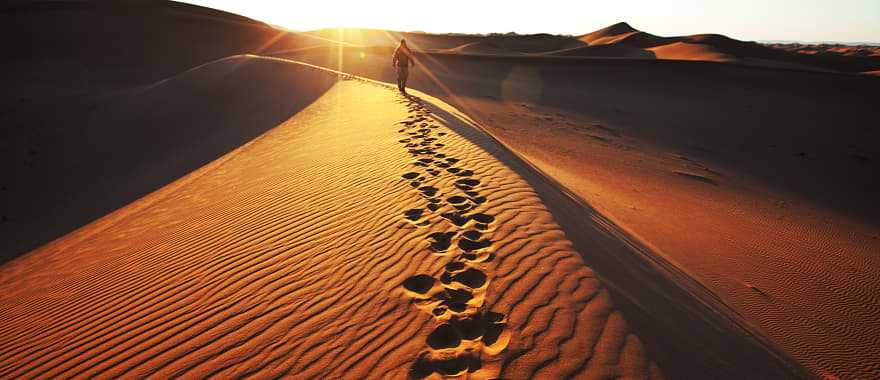 Footprints in Namib Desert, Namibia