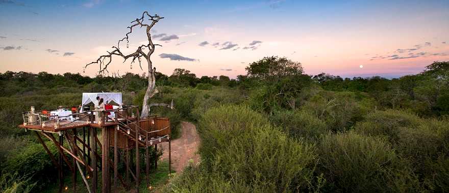 Honeymoon couple at Lion Sands Chalkley Treehouse, Sabi Sands, South Africa