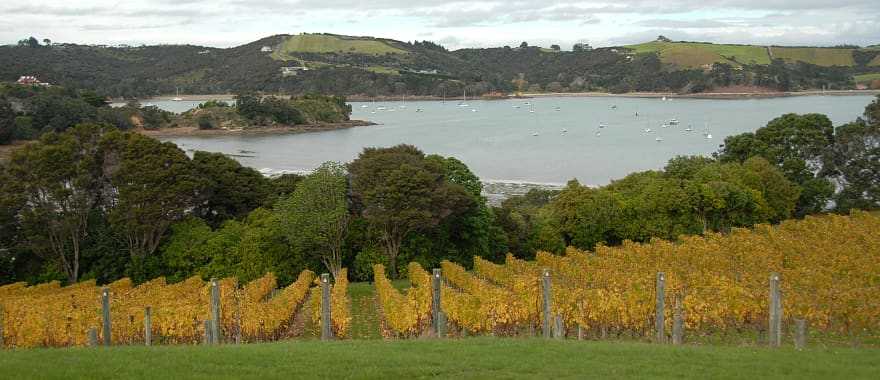 Lounge on the lush island of Waiheke as incredible art and cuisine complement the quiet beaches