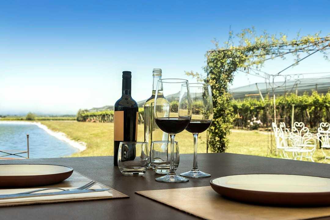 Wine in the Mendoza vineyards.
