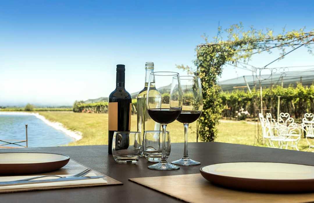 Wine in the Mendoza vineyards.