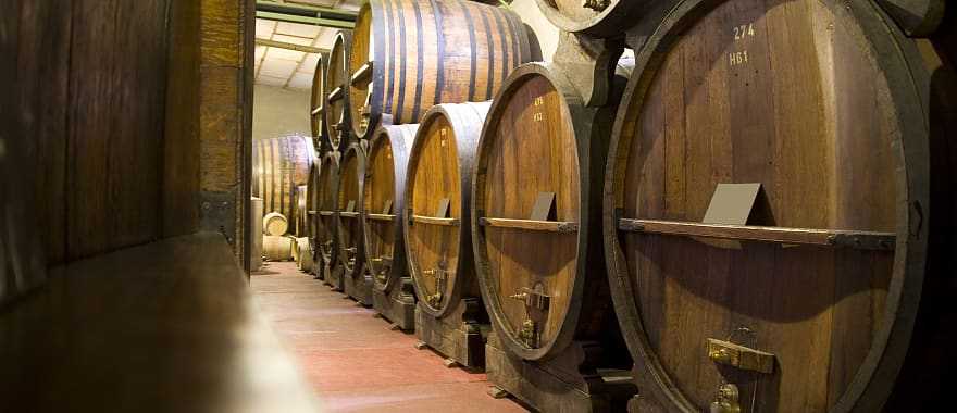 Barrels in Mendoza wine cellar
