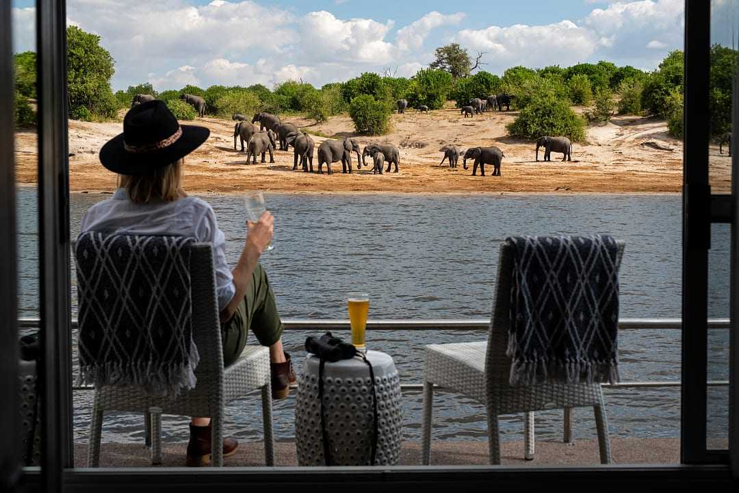 Woman sitting on the balcony of boat watching elephants on the river bank 