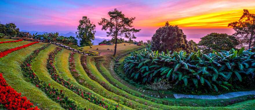 Colorful sunrise at Huai Nam Dang National Park with rows of flowers and mountains in the background, Thailand