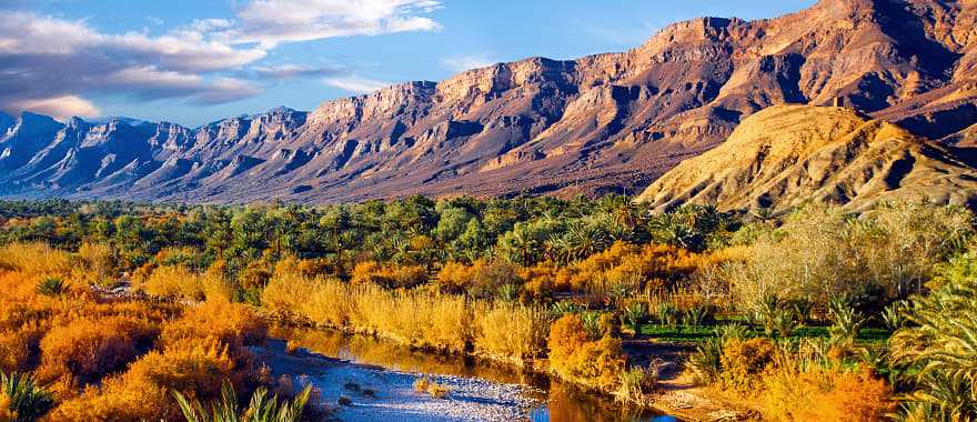 Date palms and blue river in Morocco