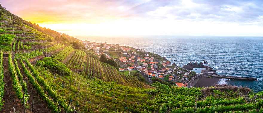 Madeira, view of the coast and vineyards in Portugal