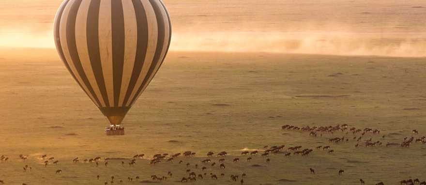 Admire the herd's stunning patchwork quilt from above on a hot air balloon safari at sunrise. Admire the herd's stunning patchwork quilt from above on a hot air balloon safari at sunrise.