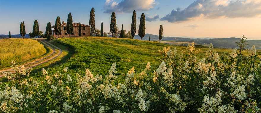 House surrounded by green fields and cypress trees in Tuscany, Italy